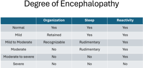 Death of Encephalopathy