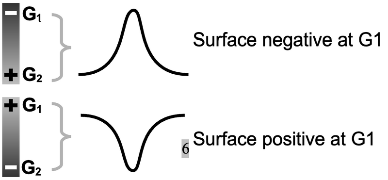File:Surface-negative-surface-positive.png