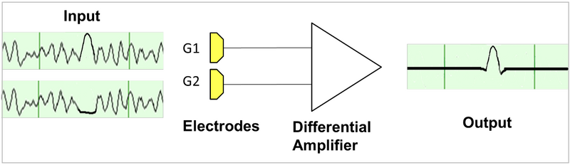 File:Recording-and-display-conventions.png